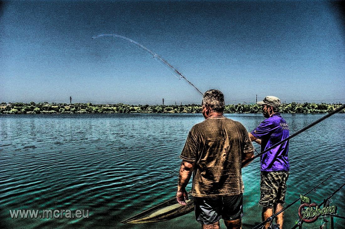 MeetCarp Romanian Awards 2013 (2) - 1017186hdrmode2-2.jpg